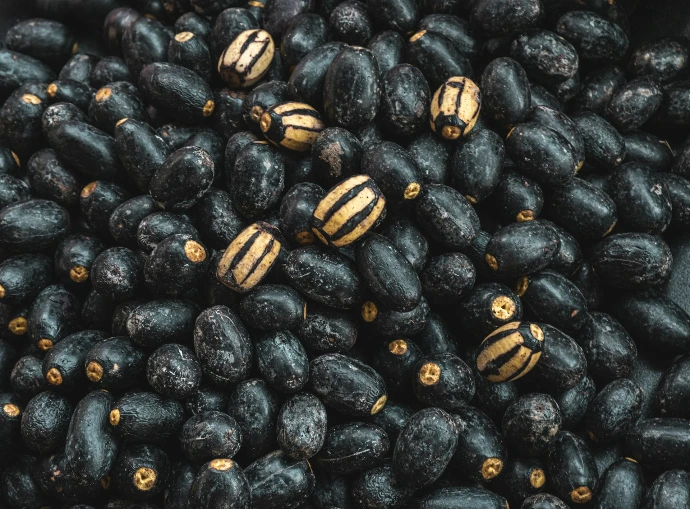 black and yellow round fruits